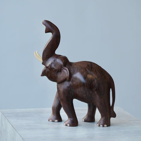 Elephant trunk up