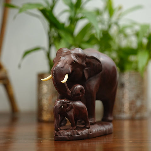 Father with baby elephant