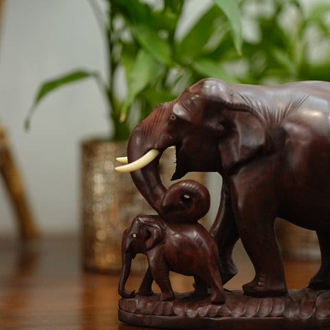 Father with baby elephant