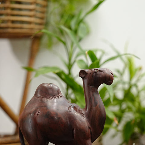 Wooden Camel