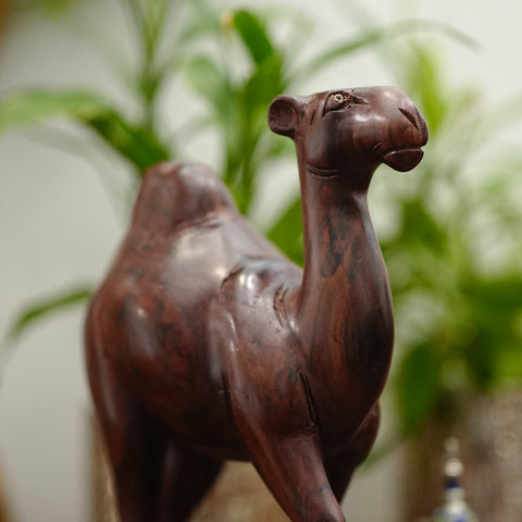 Wooden Camel