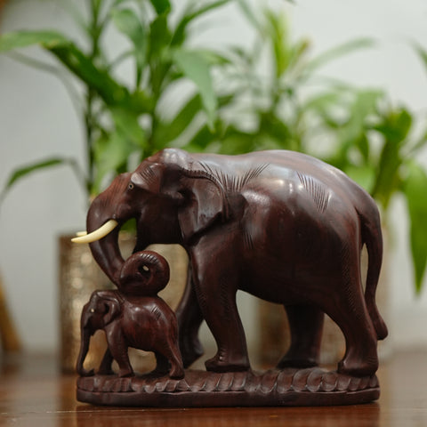 Father with baby elephant